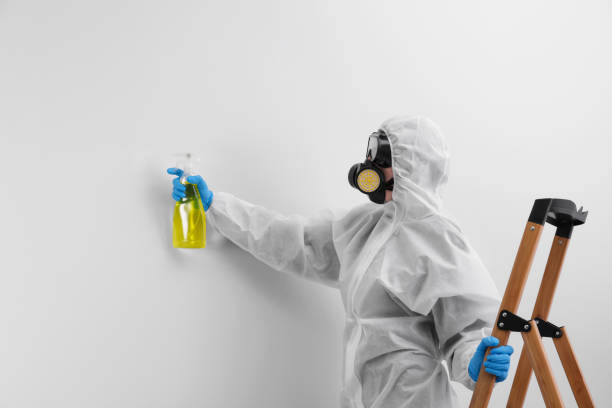 Best Residential Mold Inspection & Testing  in Yellow Springs, OH