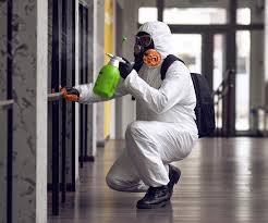  Yellow Springs, OH Mold Removal & Remediation Pros